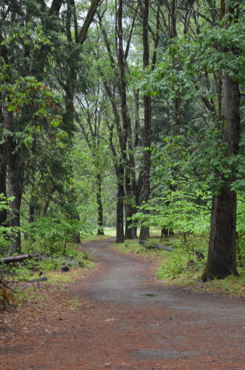 Embarking on a New&nbsp;Adventure