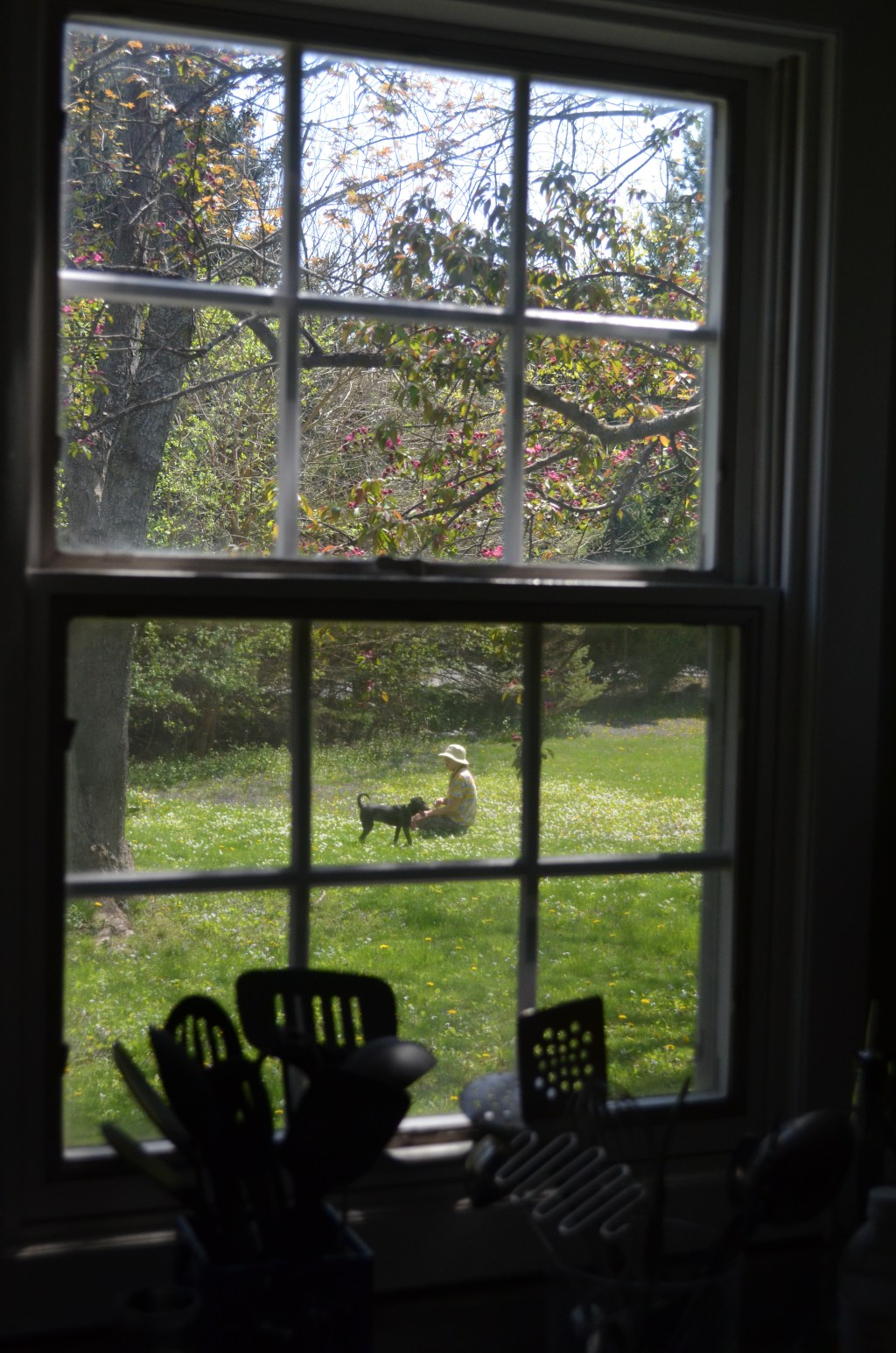 Living in a Political&nbsp;World